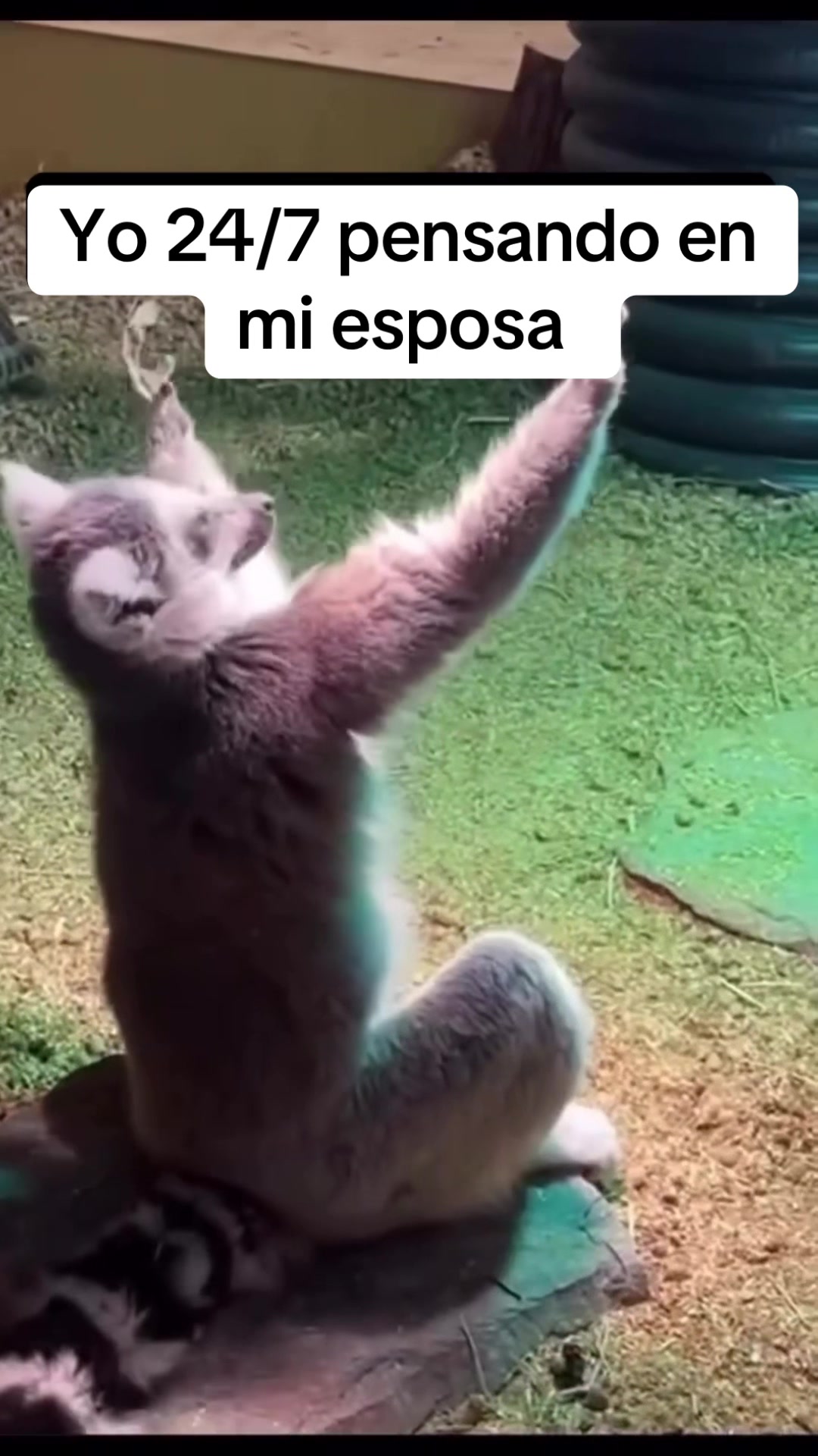 @Oscar Montaño