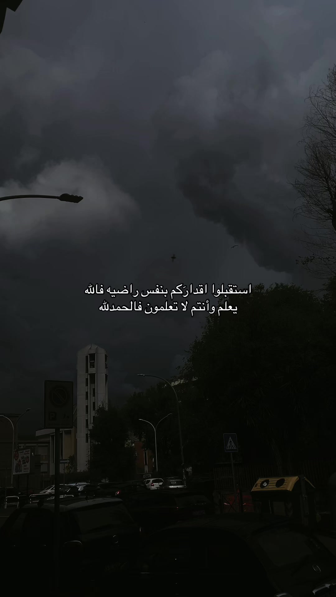 @Mohamed_محمد