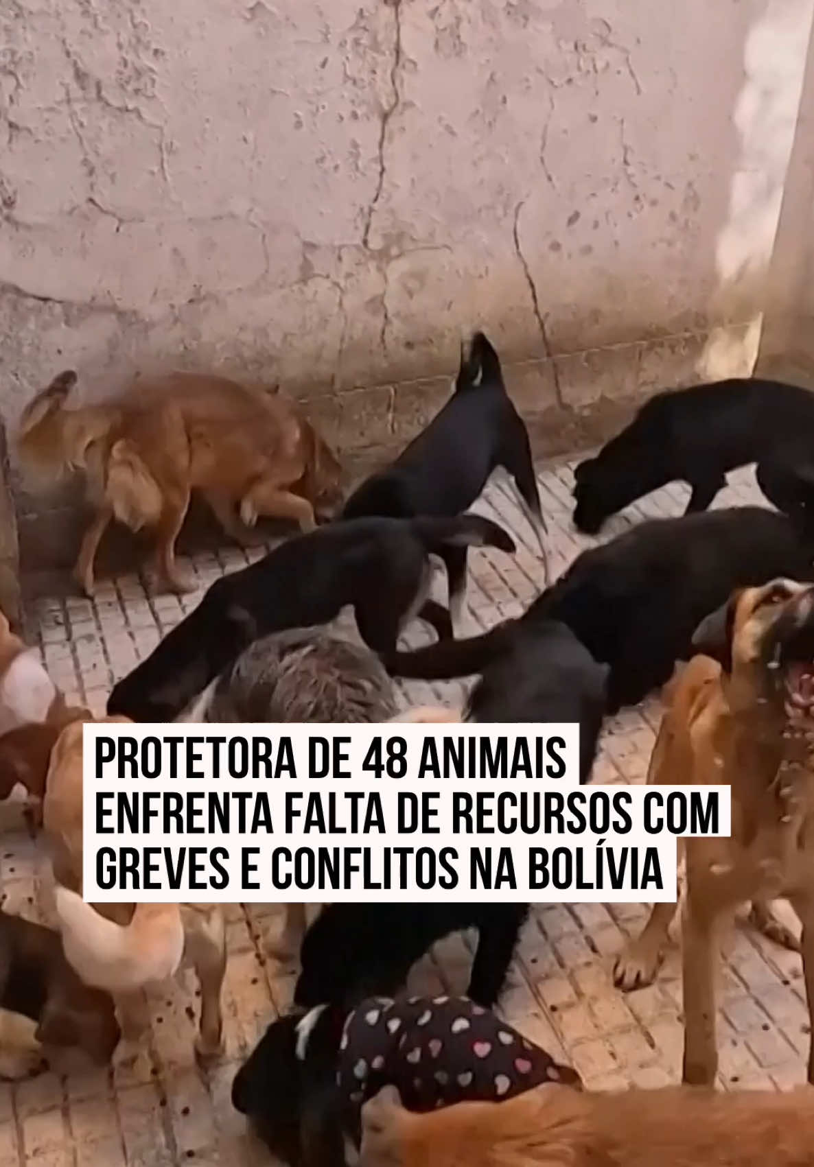 @Metr&oacute;poles Oficial