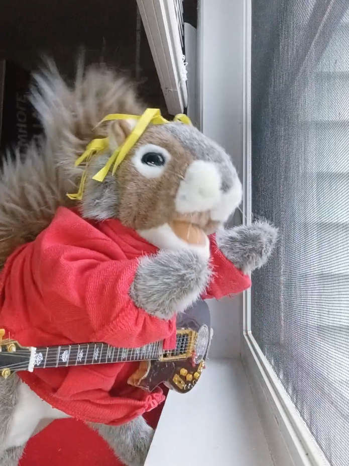 @Charles_TheSquirrel