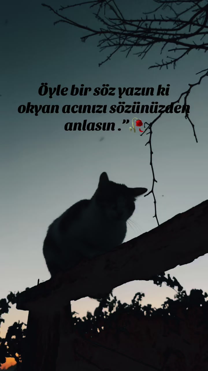 @Stori sayfam 🥀