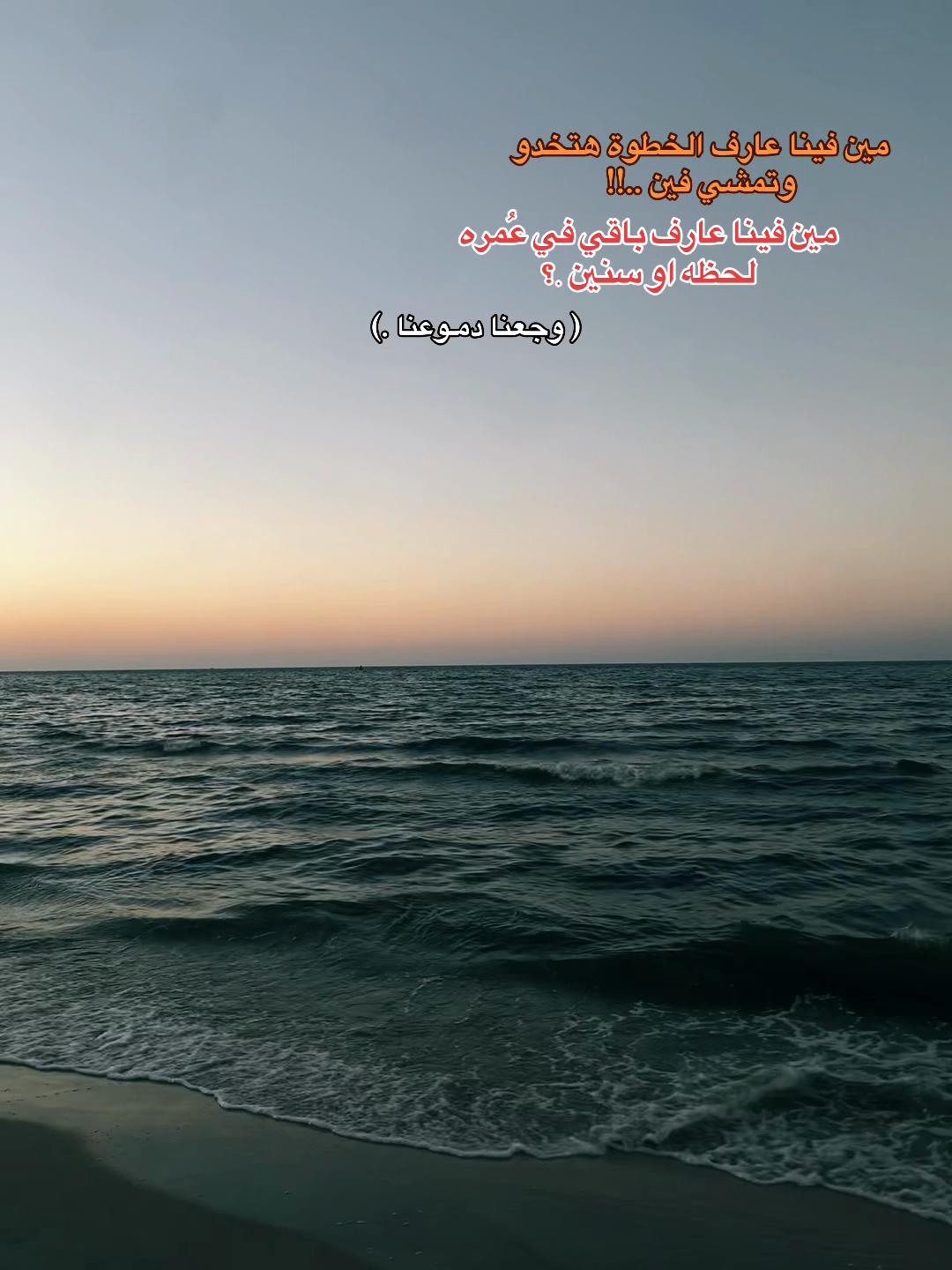 @shahd nassar