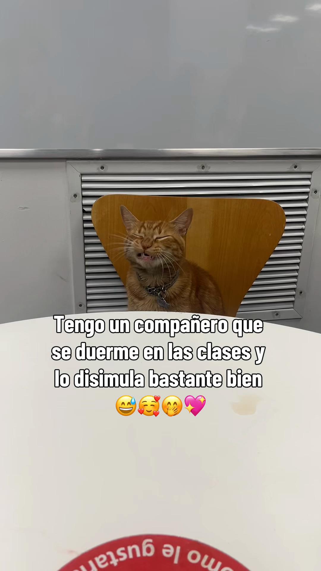 @andian100
