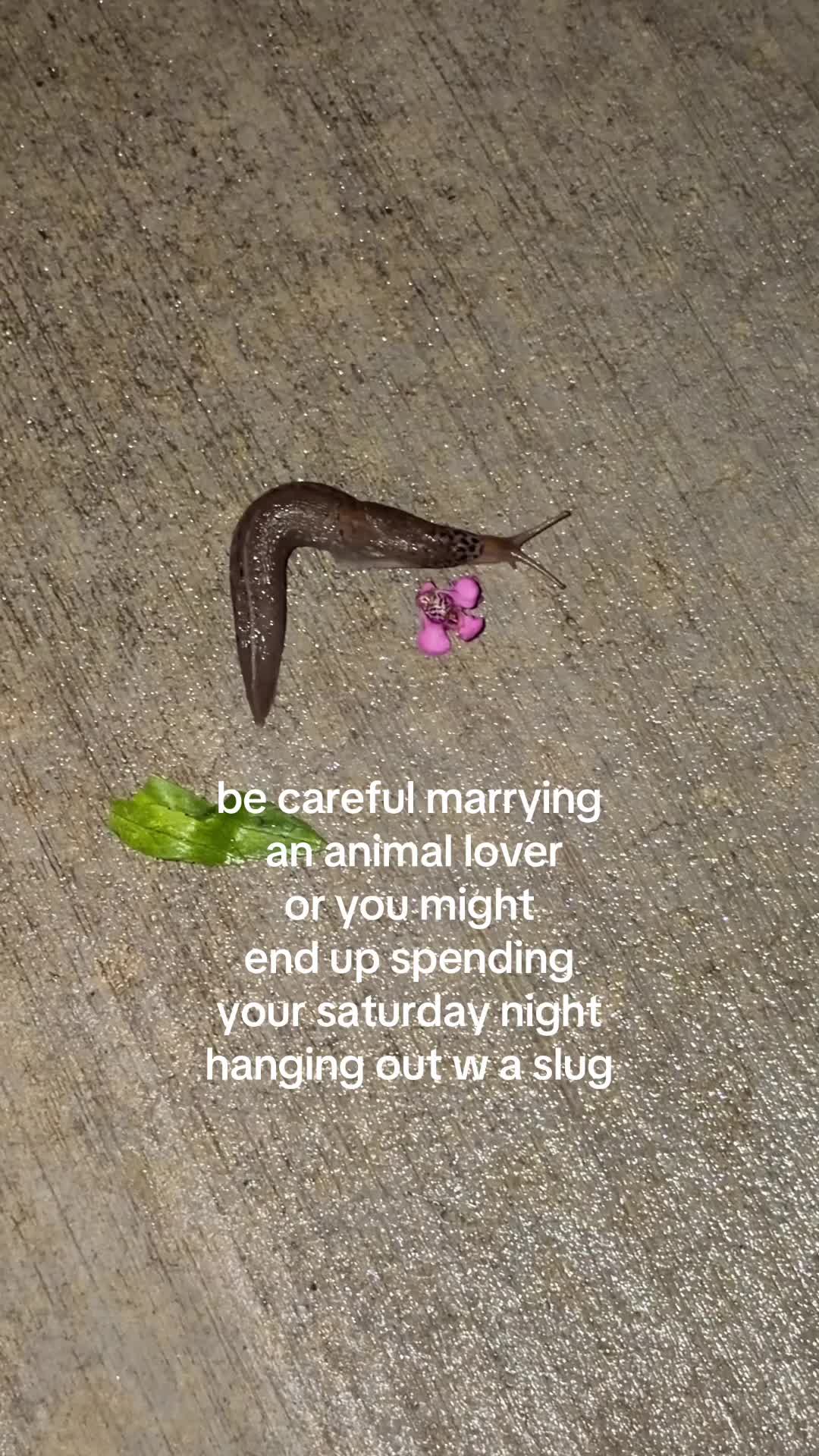 @nad