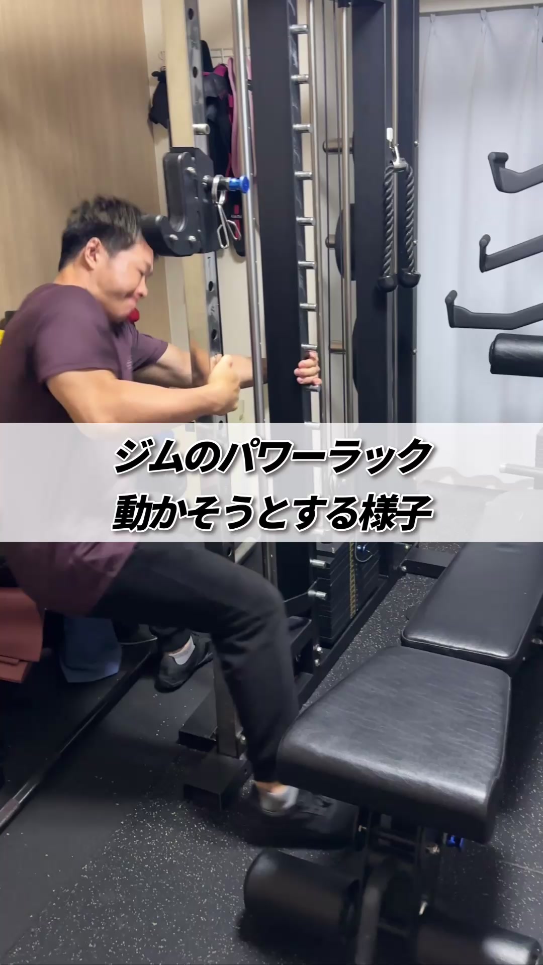 @たんぱくとりお