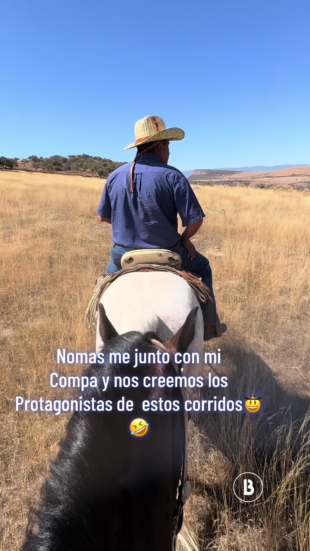 @El zurdo🌵🐴