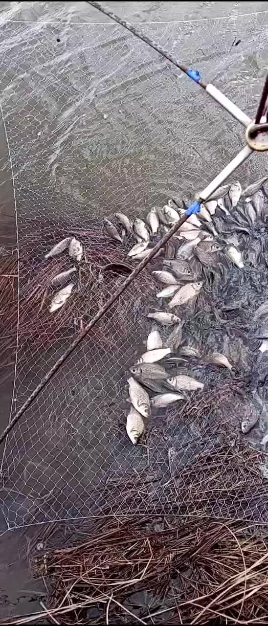 @Артурыч