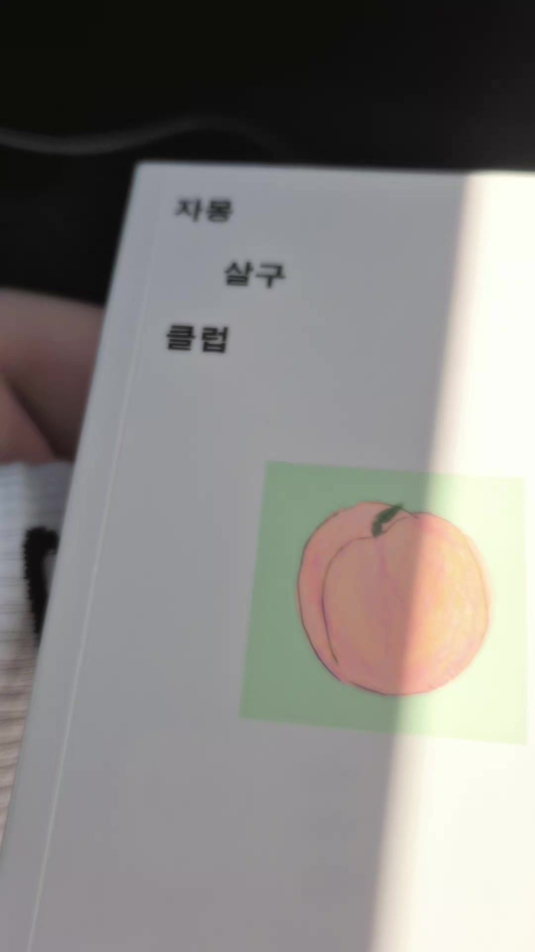 @마요🍙
