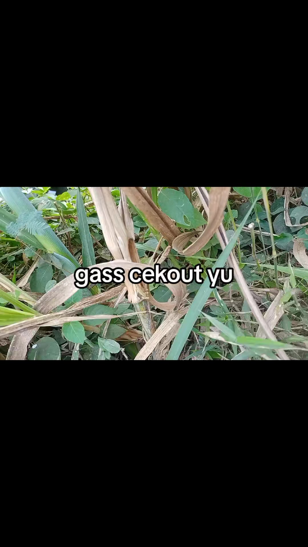 @smuabarang_ada