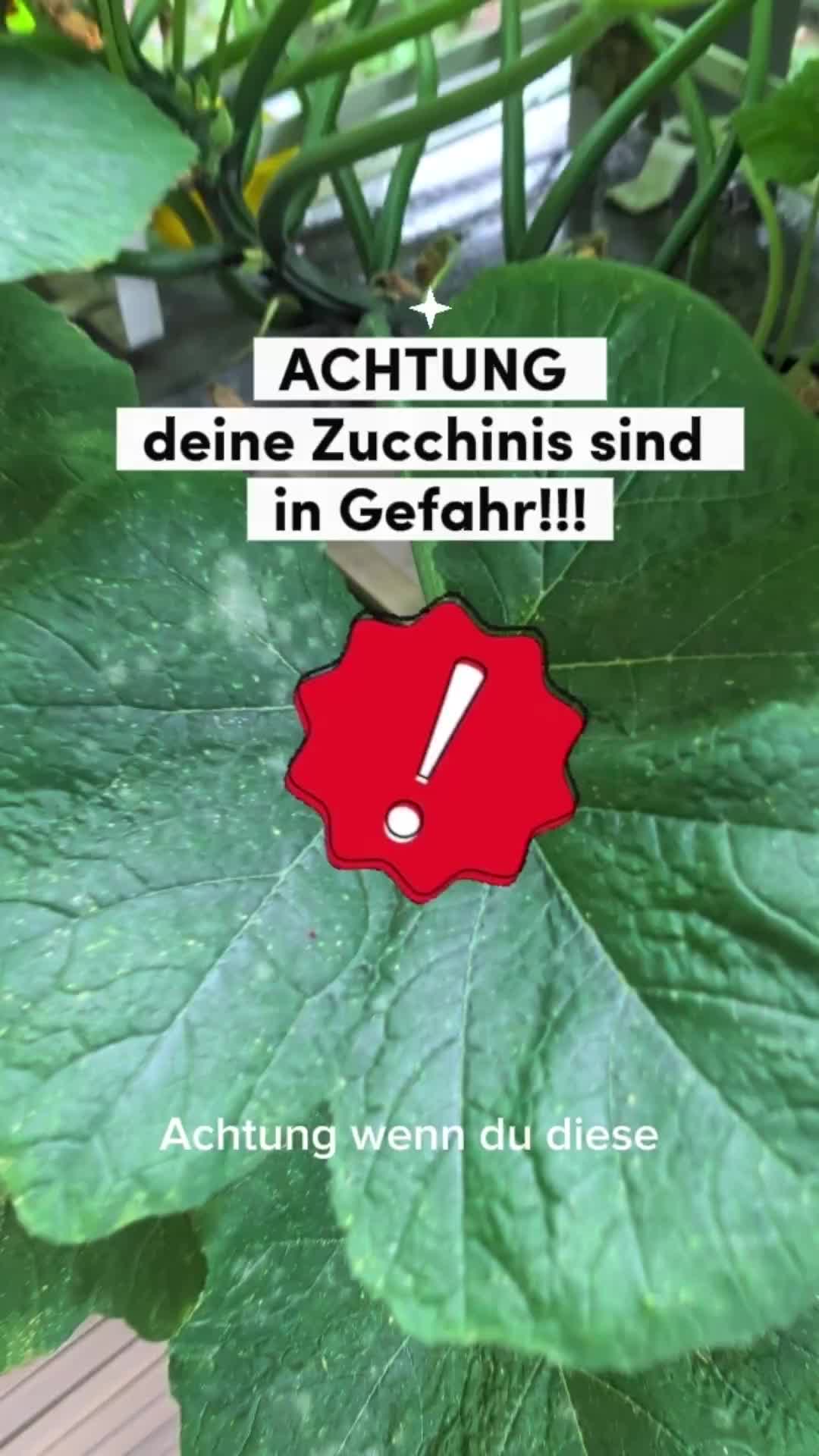 @ErnteExperte