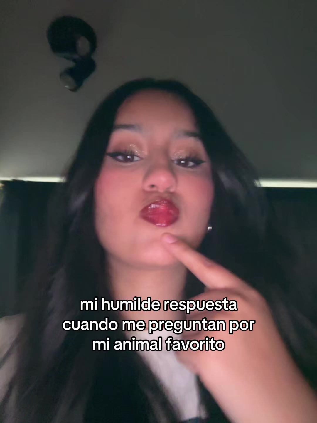 @javaa.fl