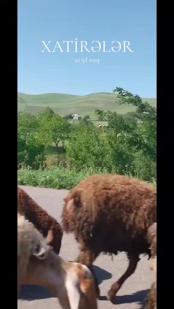 @𝐐𝐔𝐋𝐈𝐘𝐄𝐕_&sup1;⁷⁹