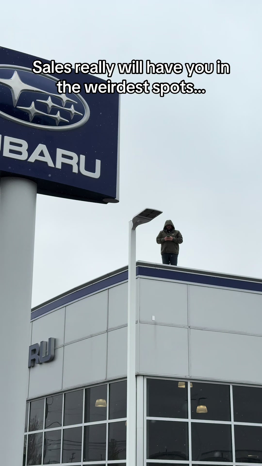 @KFalls Honda and Subaru 🚙