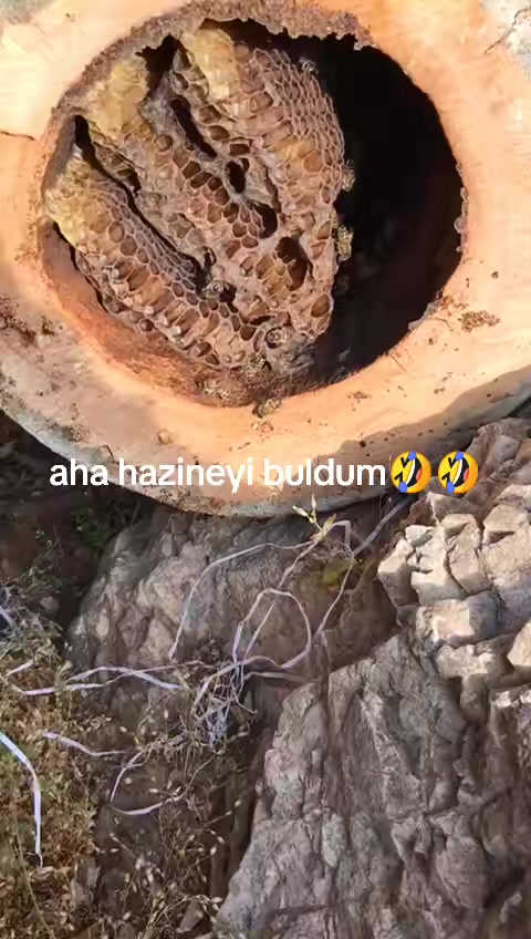 @İsmail Genç
