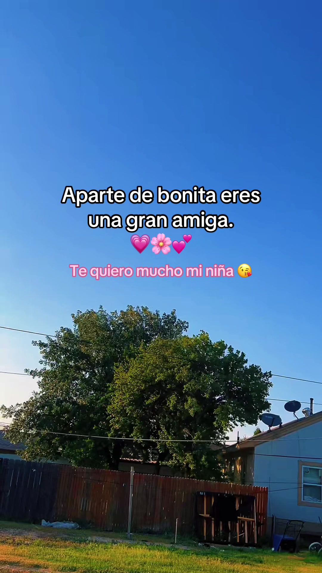 @kanil370 🧃