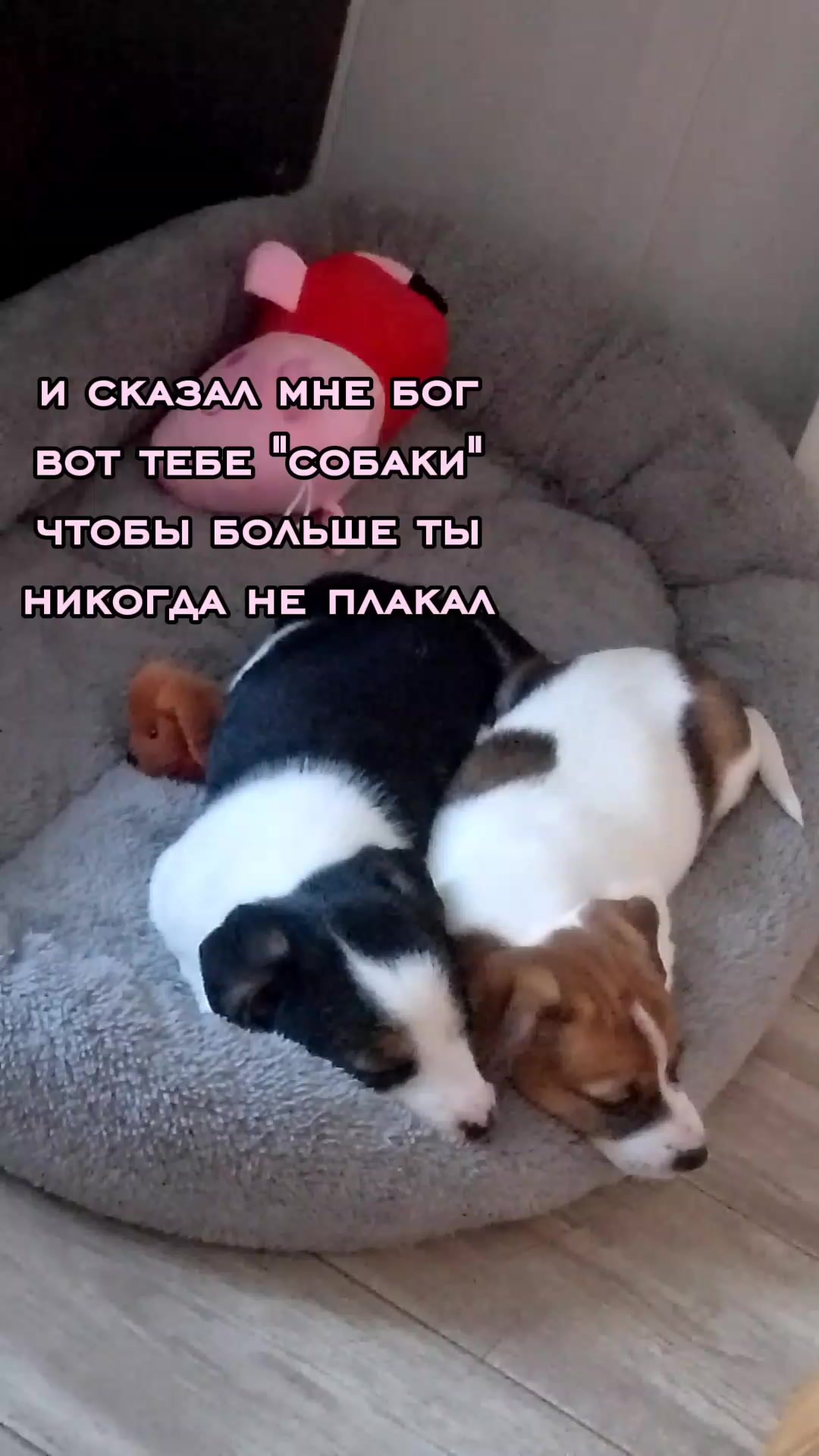 @кристишка🪽