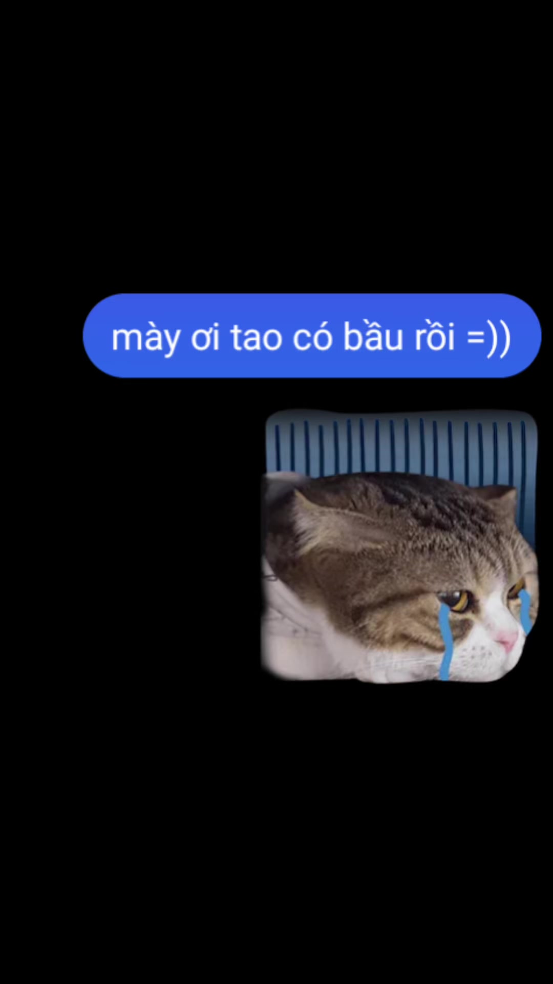 @huynhvan310