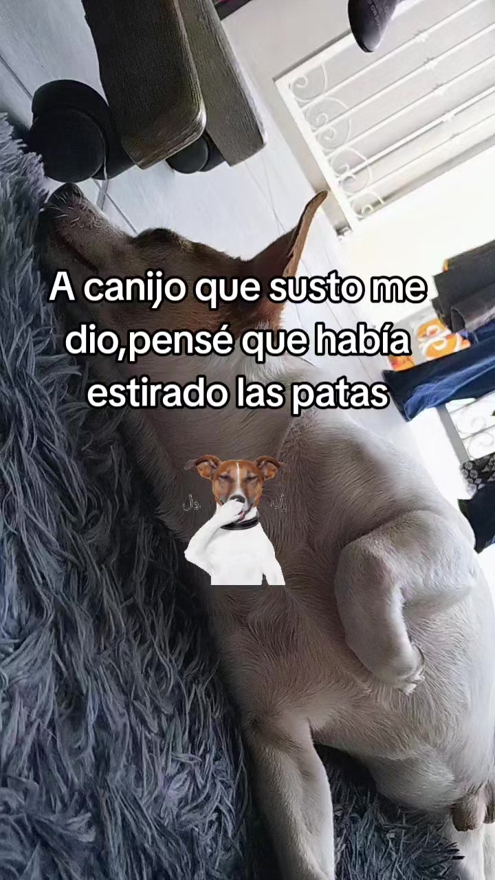 @Francisco parra camacho