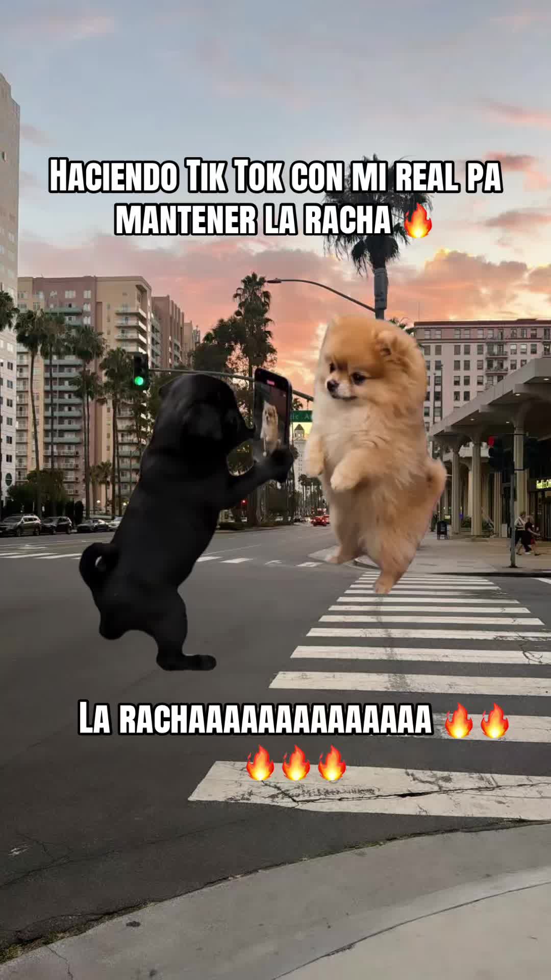 @🧃🍀🫀💋🦅LaTerrible69🌶️🇻🇪