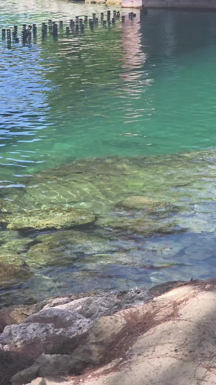 @Guajira40
