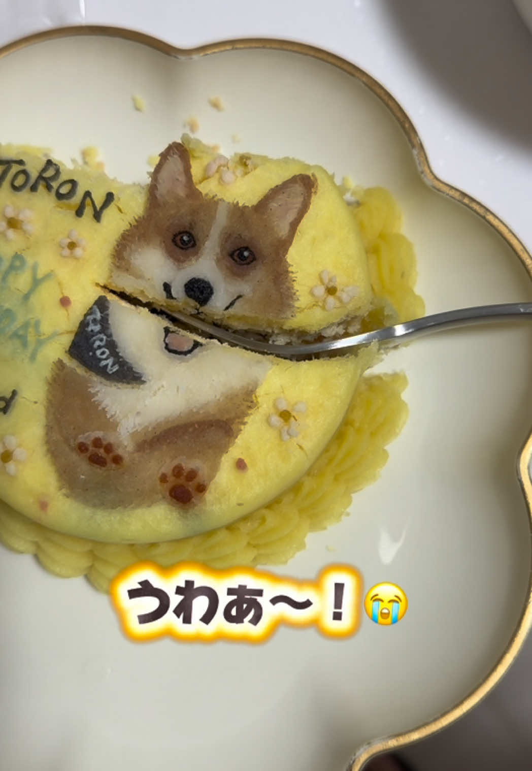 @トロン