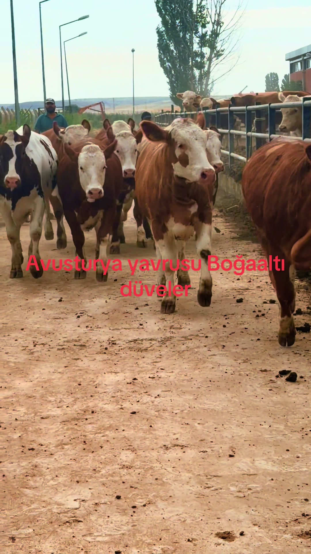 @Onur şahin 0544 842 73 19