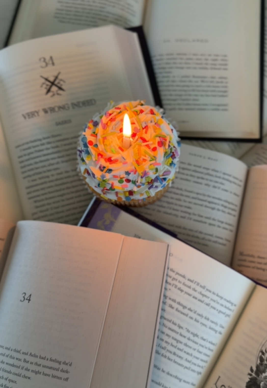 @✨📚theandreapages📚✨