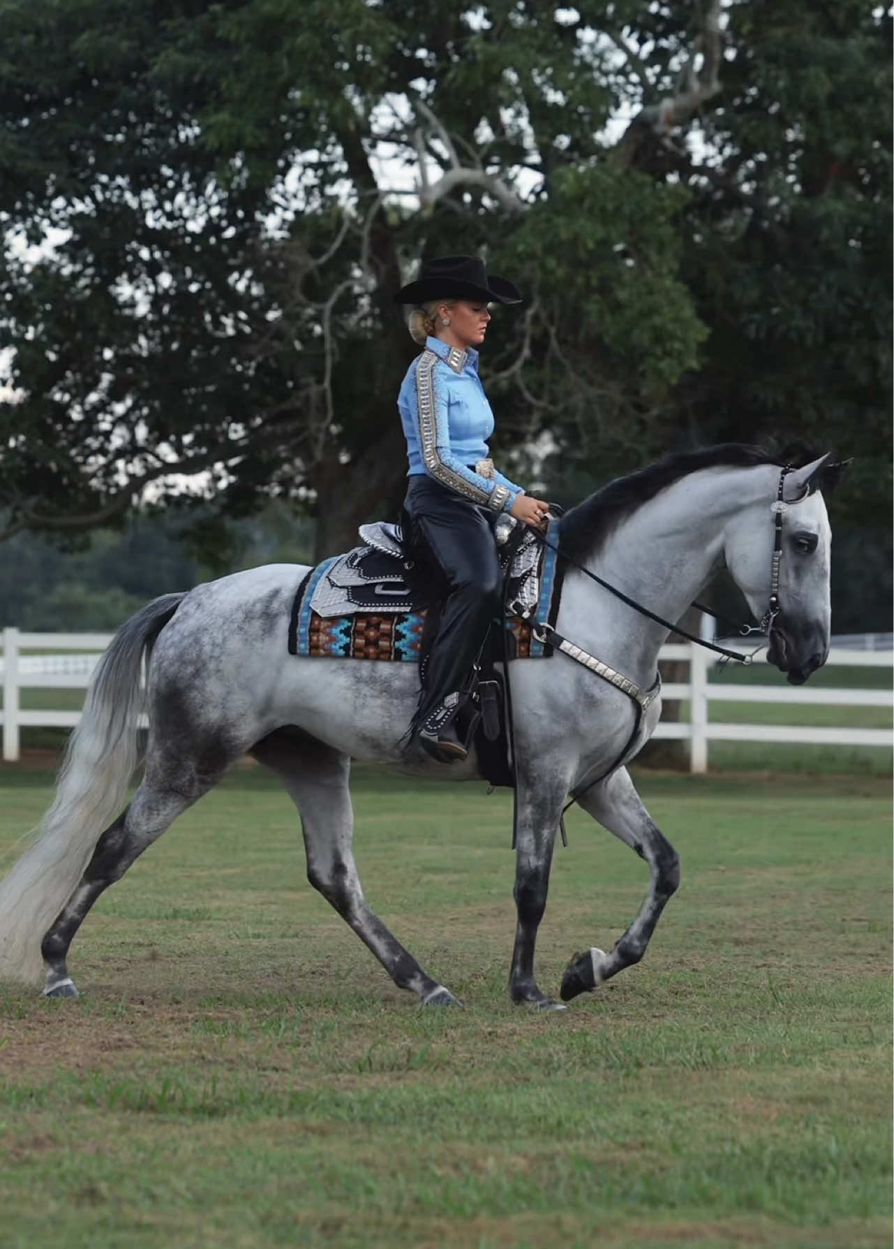 @Miranda | Equine Photographer