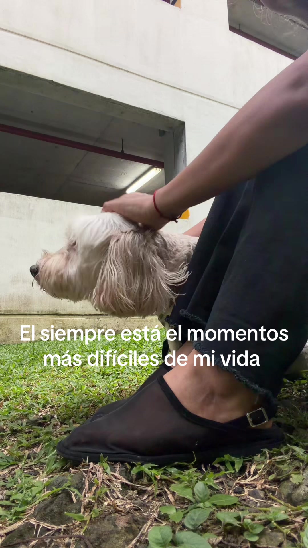 @Beyli