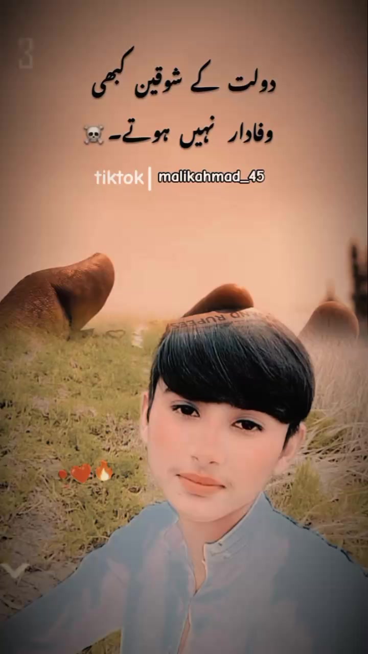 @zullkarnan