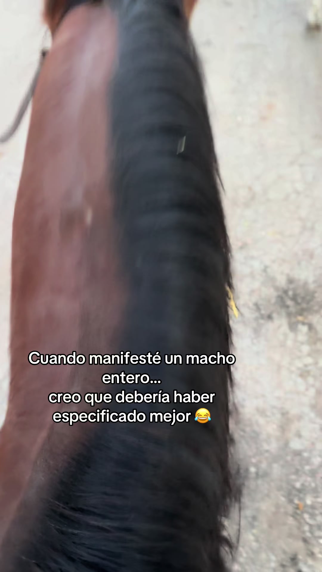 @✨AnaGonzalez✨