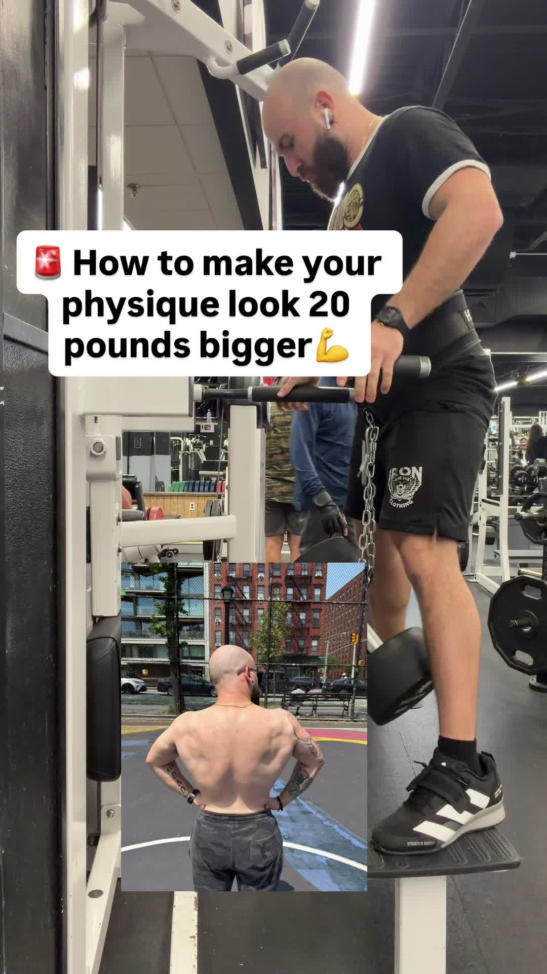 @AwolMuscle