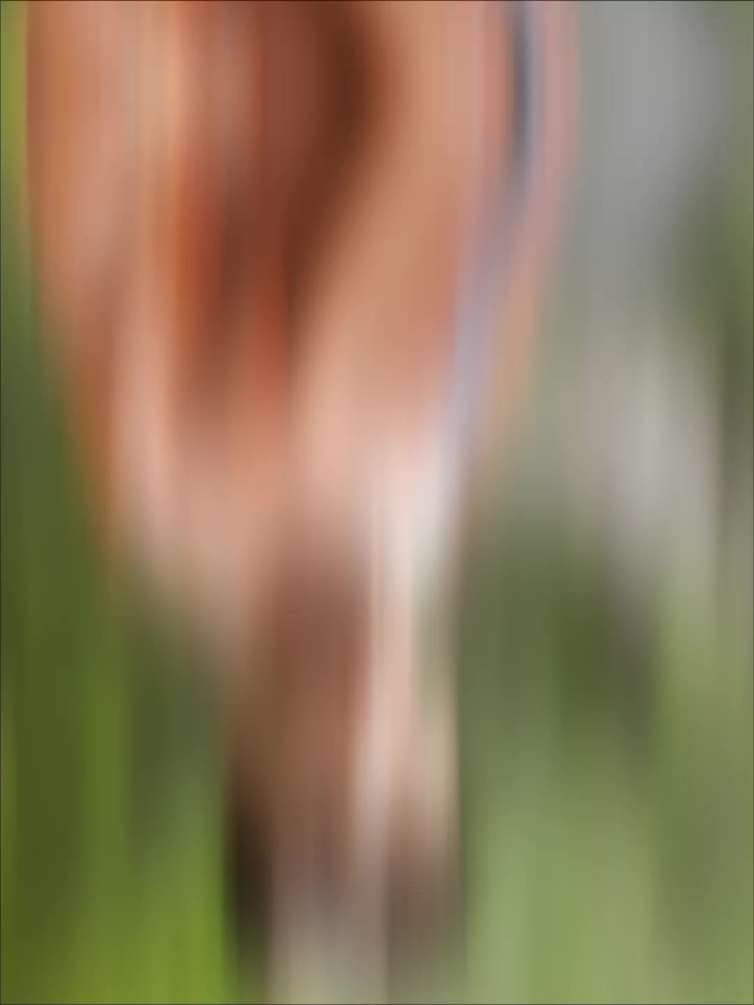 @𝓚𝓱𝓪𝓷 𝓩𝓪𝓭𝓪...