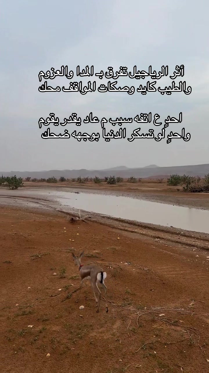 @شعور