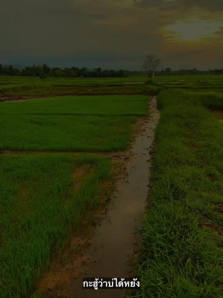 @คนเลาะน้ำ 1