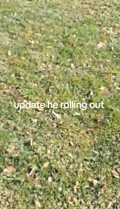 @Sasha LaNeice
