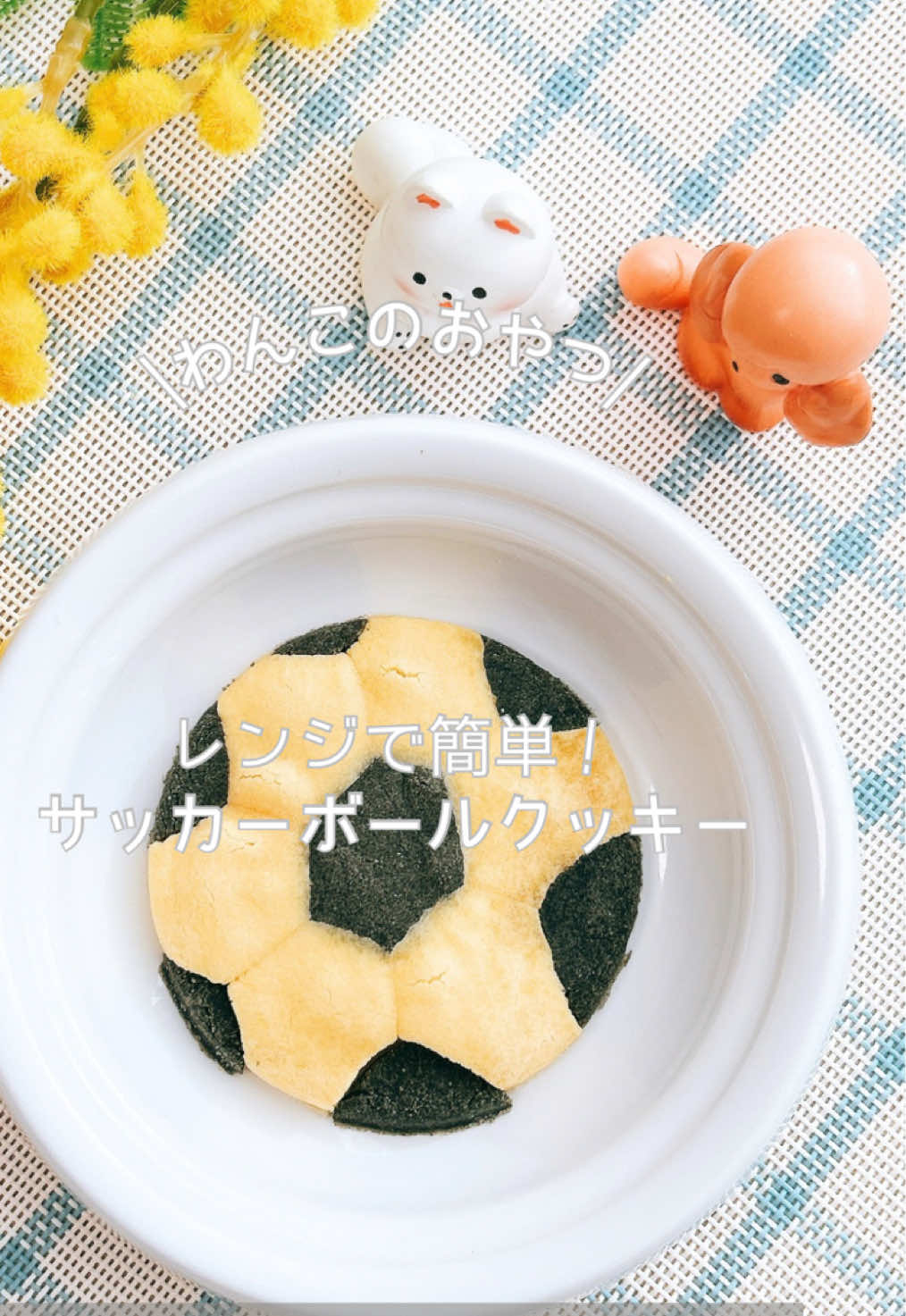 @ゆきえもん|手作り愛犬おやつ
