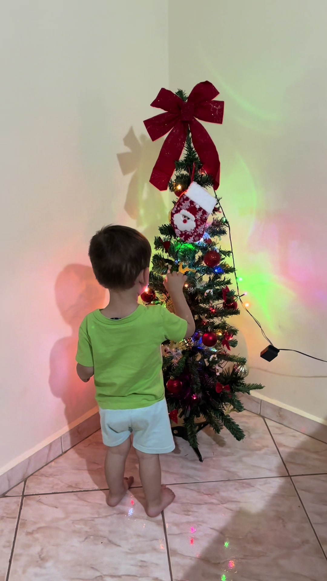 @Bianca Peres - Daily