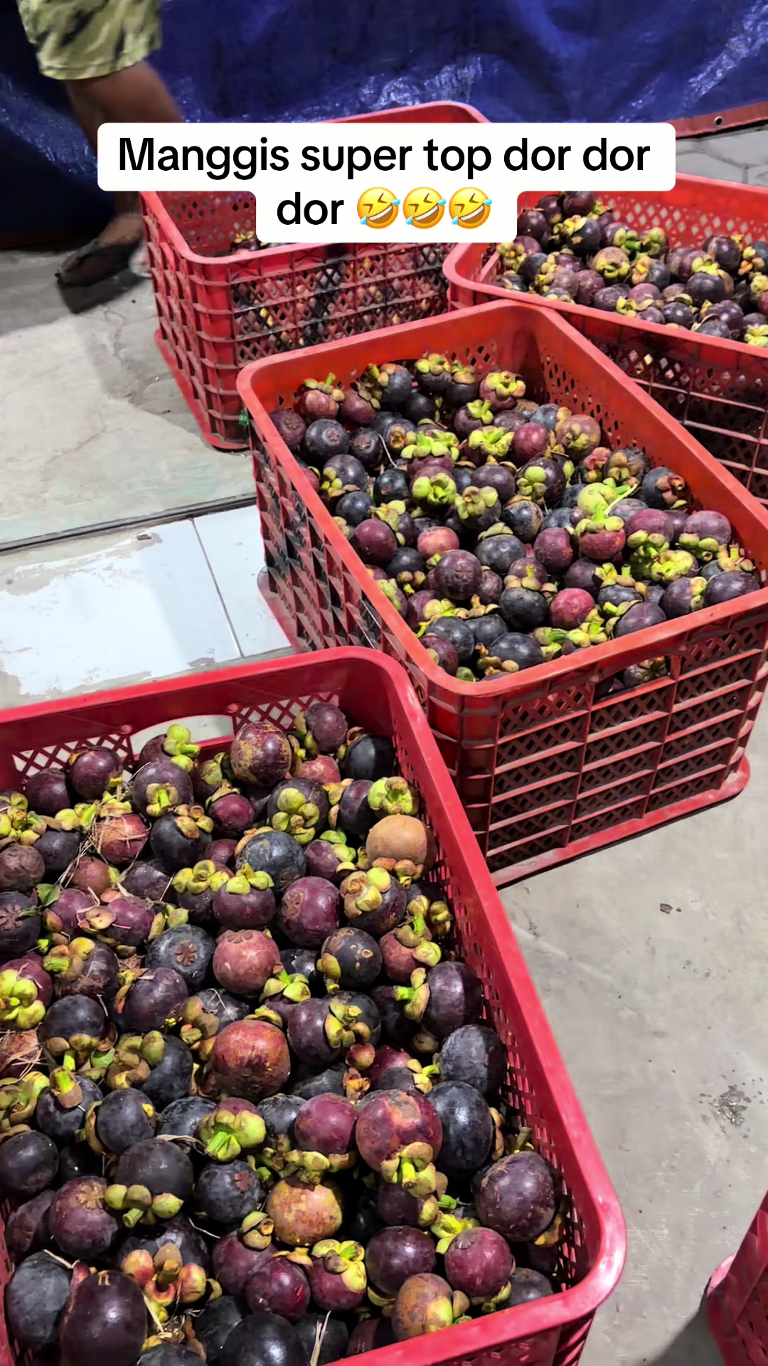 @Yy fruits