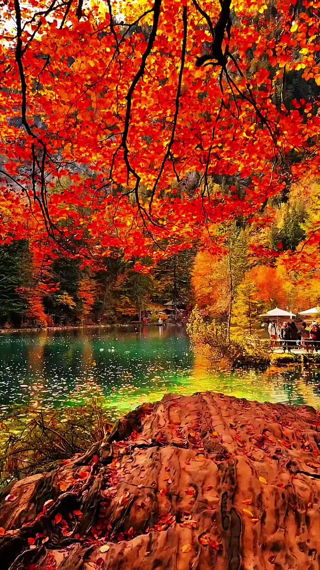 @Beautiful Earth