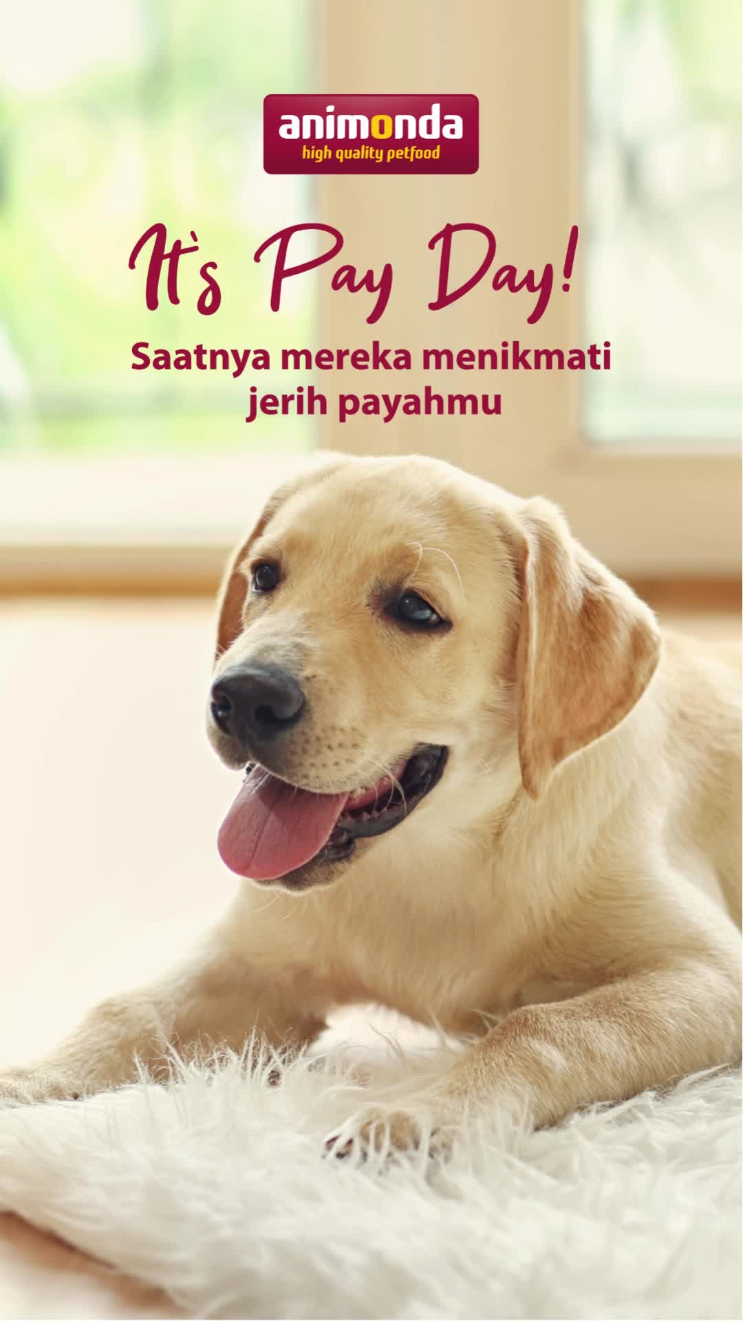 @Animonda Indonesia