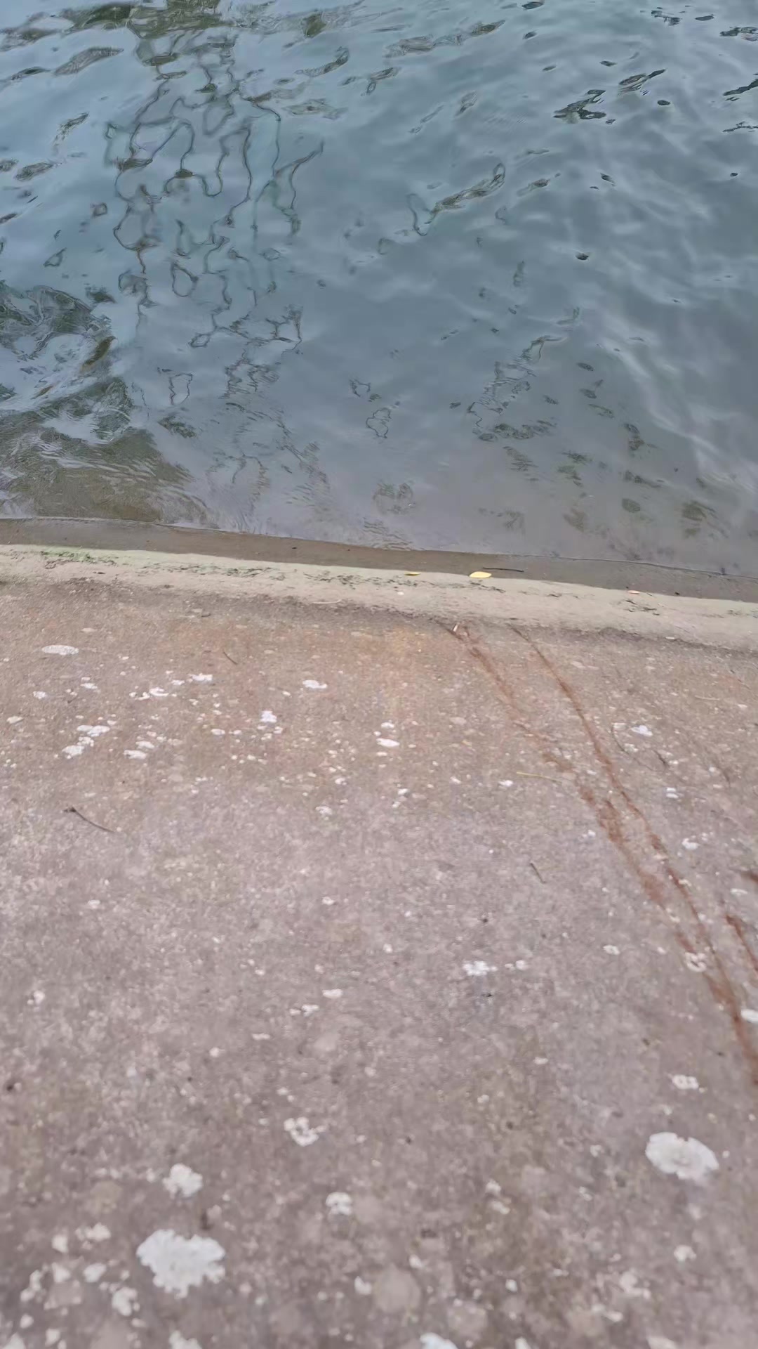@Gasle Fishing