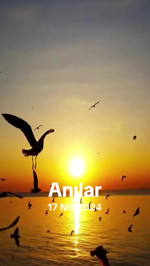 @memet akkoç