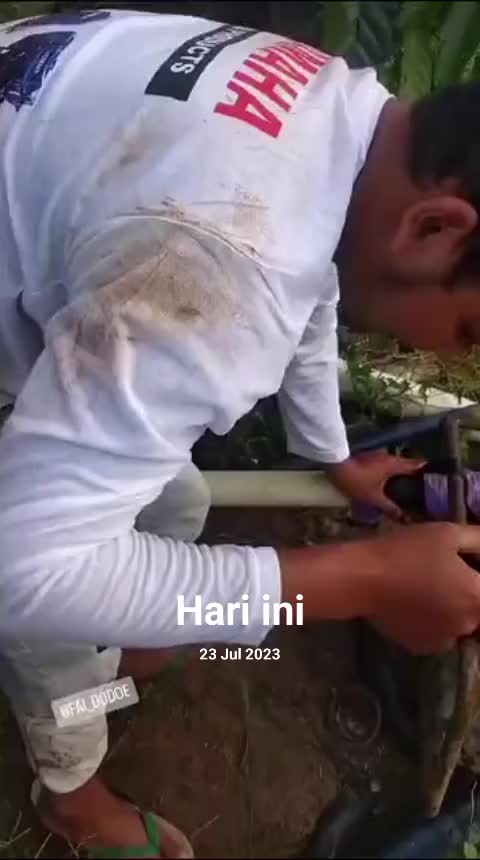 @faidodoe