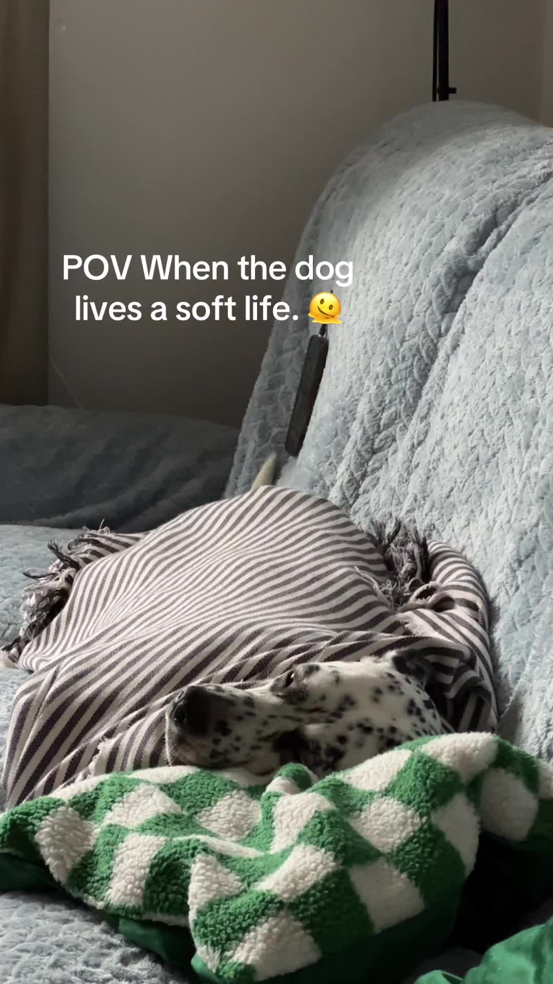 @spottybonnie