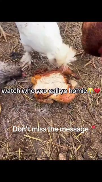 @iamdoubletllrr