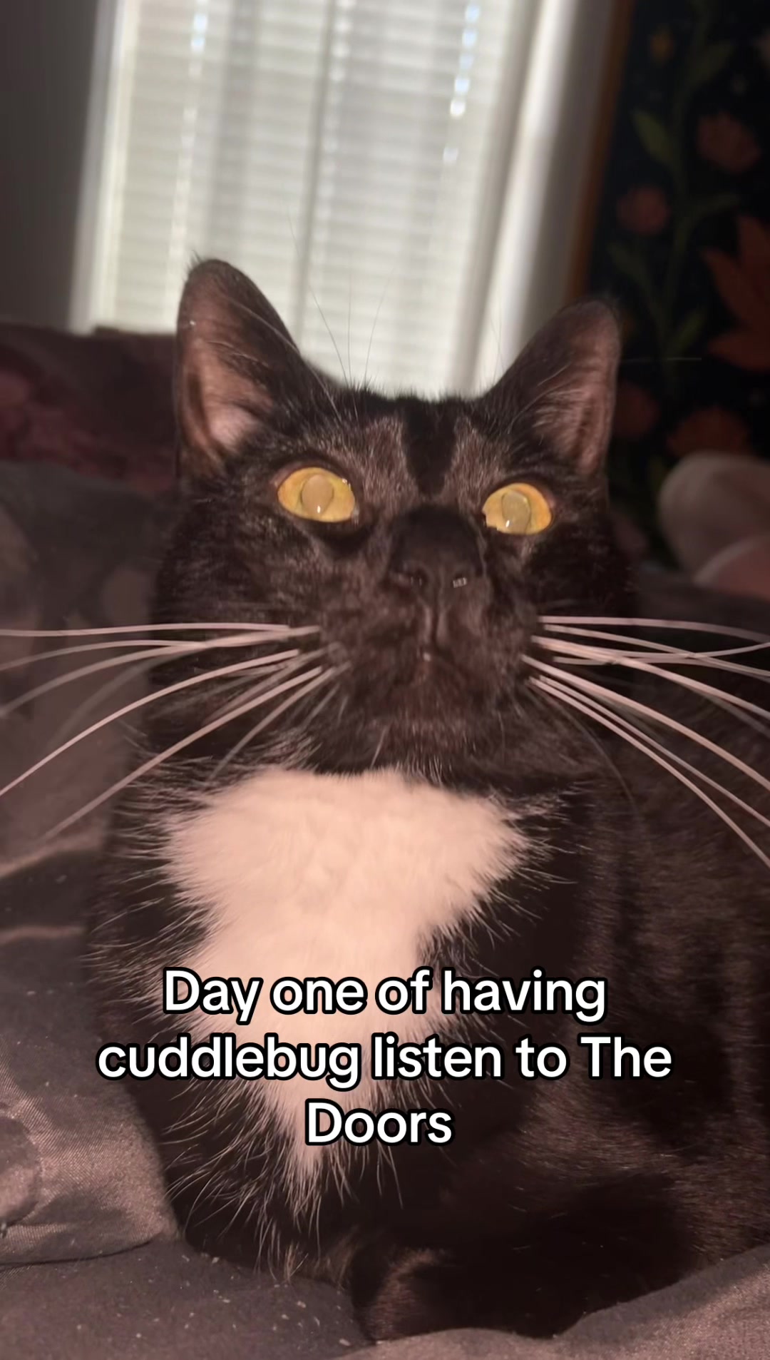 @CuddleBug