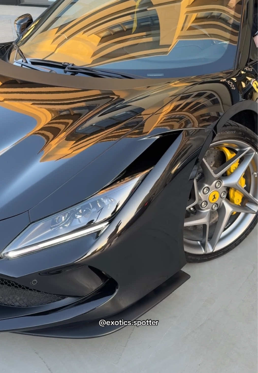 @Exotics Spotter