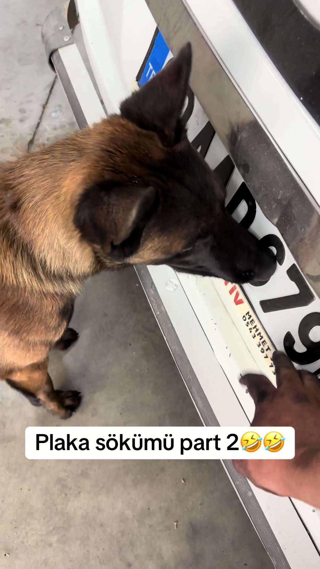 @ertuğrul