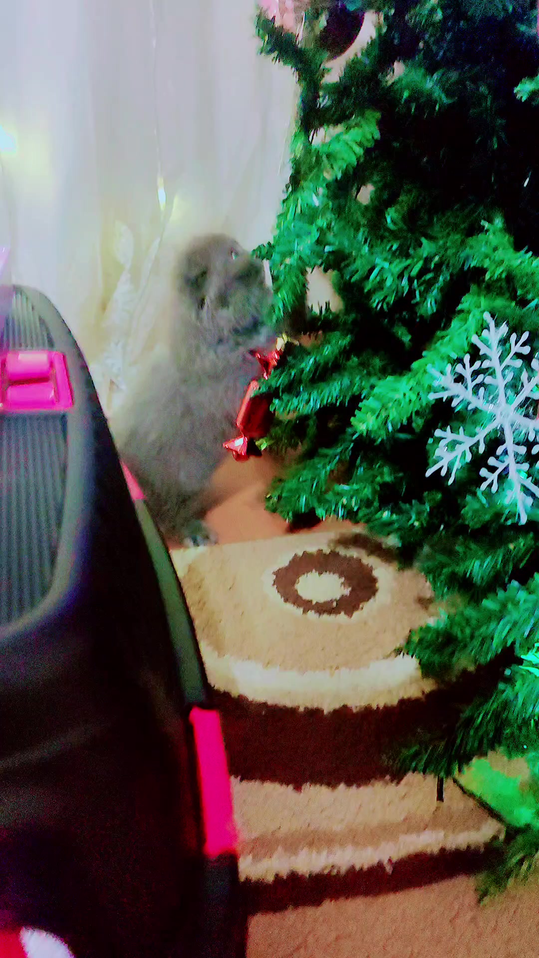 @duman_16.12.24